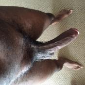 115549 - Black Cock Gallery