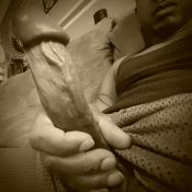 115574 - Black Cock Gallery