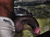 115759 - Black Cock Gallery