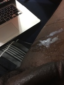 115793 - Black Cock Gallery