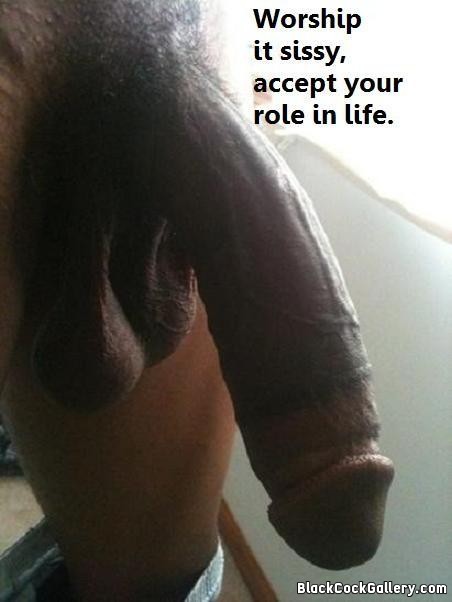 Black Cock Worship Captions Mega Porn Pics