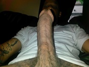 116173 - Black Cock Gallery