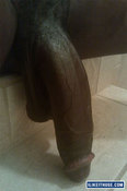 116205 - Black Cock Gallery