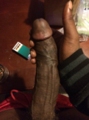116345 - Black Cock Gallery
