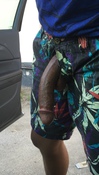 116511 - Black Cock Gallery