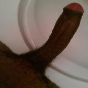 116627 - Black Cock Gallery