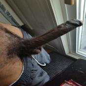 116628 - Black Cock Gallery