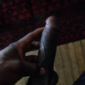 116654 - Black Cock Gallery