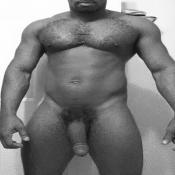 116800 - Black Cock Gallery