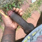 116848 - Black Cock Gallery