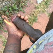 116849 - Black Cock Gallery