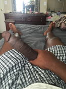 116870 - Black Cock Gallery