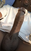 116904 - Black Cock Gallery
