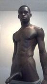 117121 - Black Cock Gallery
