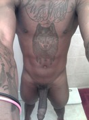117196 - Black Cock Gallery