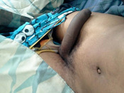 117242 - Black Cock Gallery