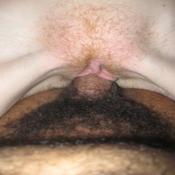 11729 - Black Cock Gallery