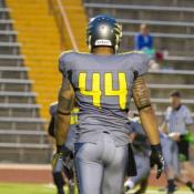 117355 - Black Cock Gallery