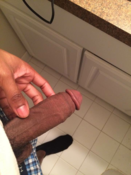 117533 - Black Cock Gallery