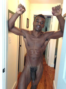 117548 - Black Cock Gallery