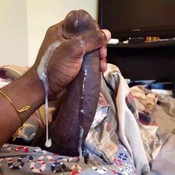 117868 - Black Cock Gallery