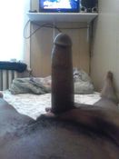 117884 - Black Cock Gallery