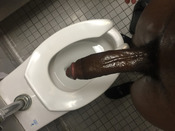 117923 - Black Cock Gallery