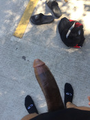 117957 - Black Cock Gallery