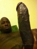 118025 - Black Cock Gallery