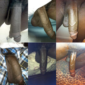 118027 - Black Cock Gallery