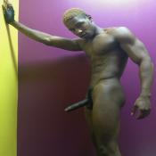 118101 - Black Cock Gallery