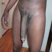 118169 - Black Cock Gallery