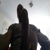 118173 - Black Cock Gallery