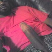 118252 - Black Cock Gallery