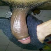 118273 - Black Cock Gallery