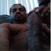 118281 - Black Cock Gallery