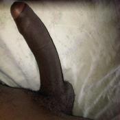 118354 - Black Cock Gallery