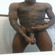 118391 - Black Cock Gallery