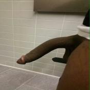 118481 - Black Cock Gallery