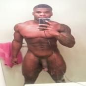 118537 - Black Cock Gallery