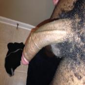 118599 - Black Cock Gallery