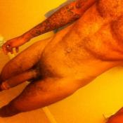 118646 - Black Cock Gallery