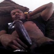 118696 - Black Cock Gallery