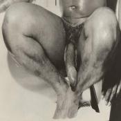 118716 - Black Cock Gallery