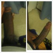 118834 - Black Cock Gallery