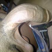 118941 - Black Cock Gallery