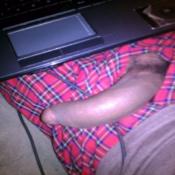 11898 - Black Cock Gallery