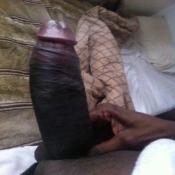 119009 - Black Cock Gallery