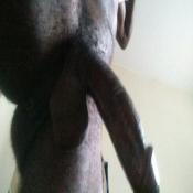 119313 - Black Cock Gallery