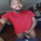 119475 - Black Cock Gallery